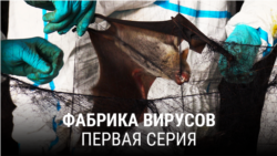 "Фабрика вирусов". Первая серия